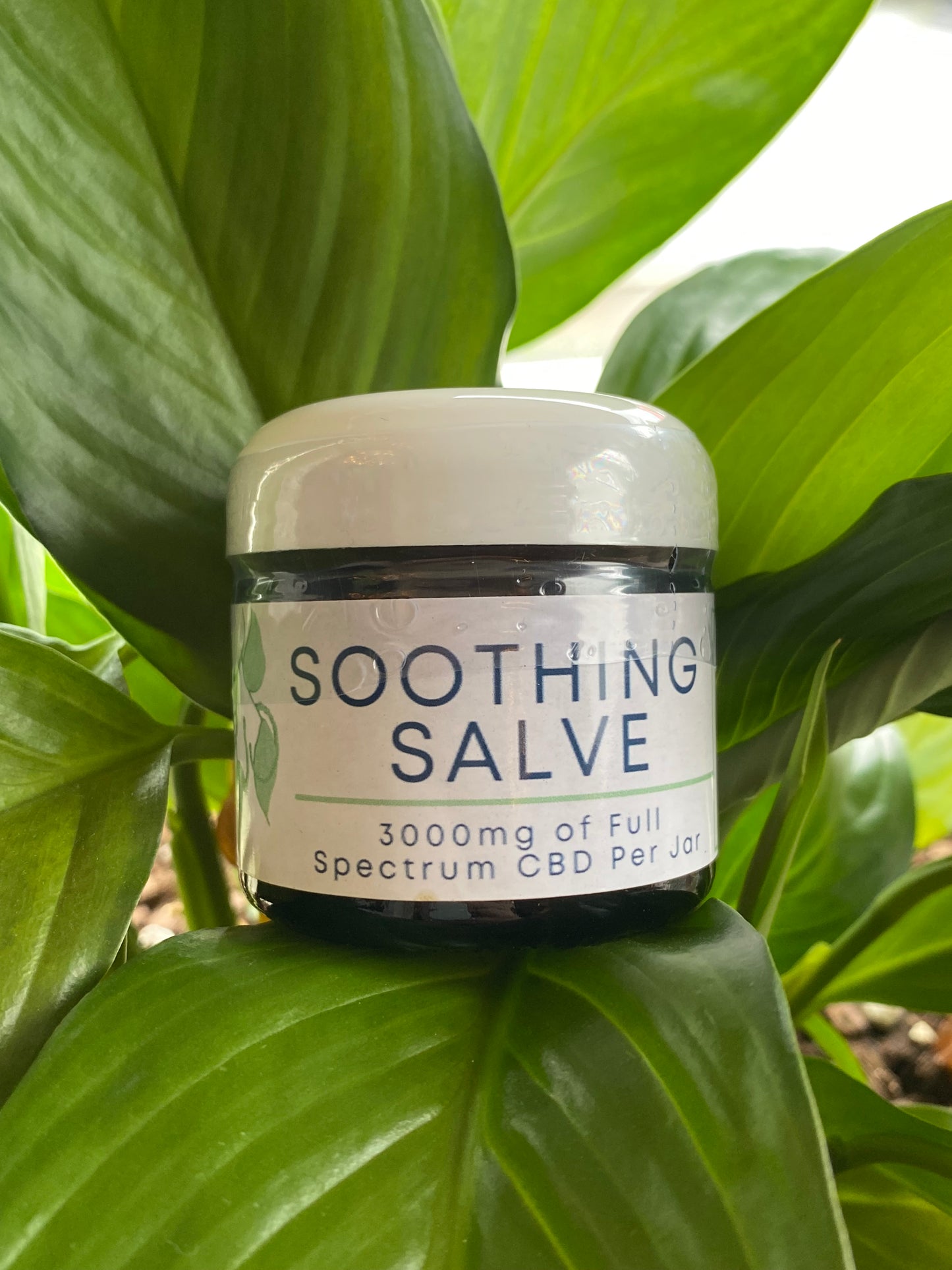 Soothing Salve - 3,000 mg Full Spectrum Salve